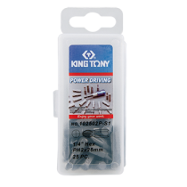 25 PC. 1/4" Bit Set (PHILLIPS head) 102502P-S1